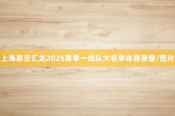 上海嘉定汇龙2025赛季一线队大名单体育录像/图片