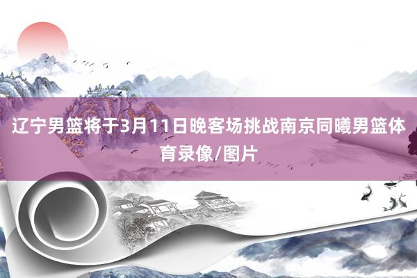辽宁男篮将于3月11日晚客场挑战南京同曦男篮体育录像/图片
