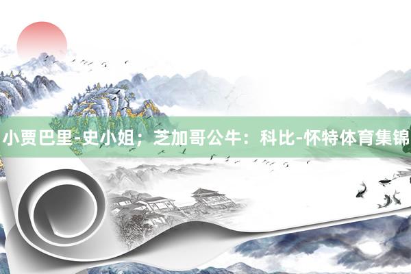 小贾巴里-史小姐;芝加哥公牛:科比-怀特体育集锦