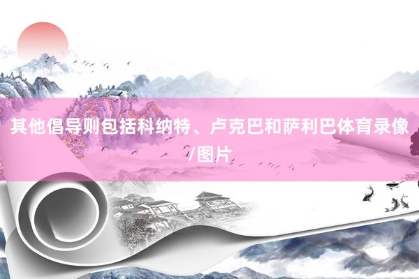 其他倡导则包括科纳特、卢克巴和萨利巴体育录像/图片
