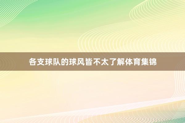各支球队的球风皆不太了解体育集锦