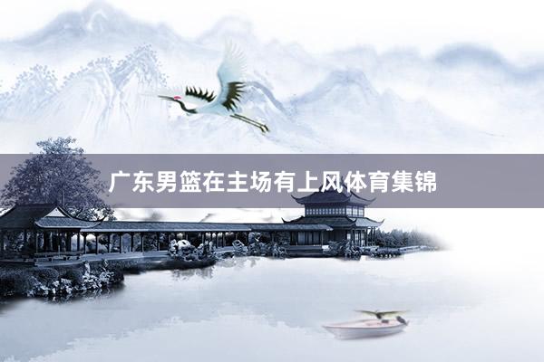 广东男篮在主场有上风体育集锦