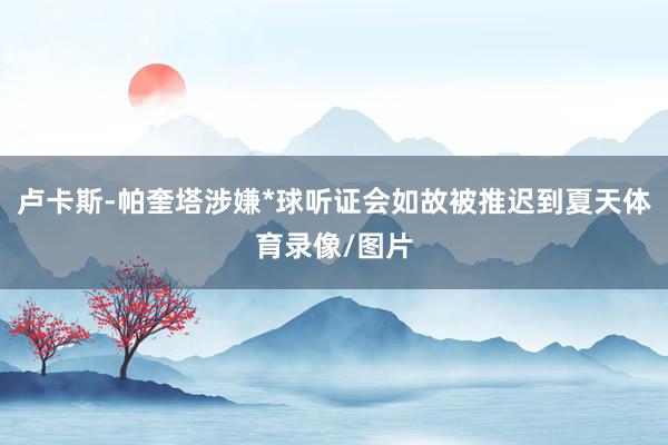 卢卡斯-帕奎塔涉嫌*球听证会如故被推迟到夏天体育录像/图片