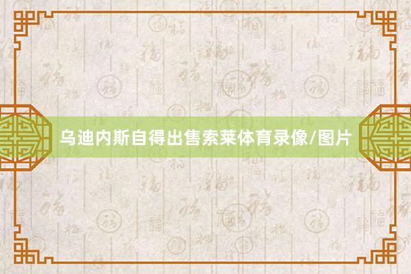 乌迪内斯自得出售索莱体育录像/图片