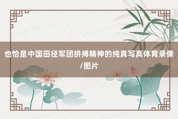 也恰是中国田径军团拼搏精神的纯真写真体育录像/图片