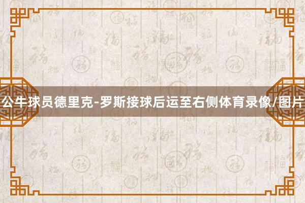 公牛球员德里克-罗斯接球后运至右侧体育录像/图片
