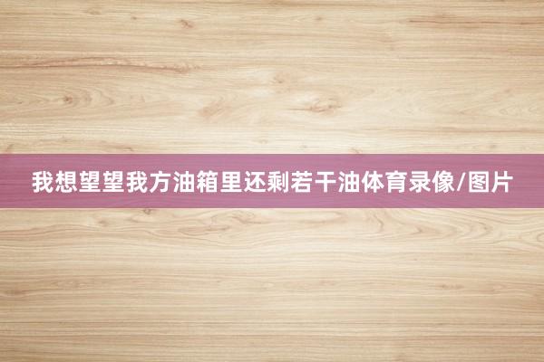我想望望我方油箱里还剩若干油体育录像/图片
