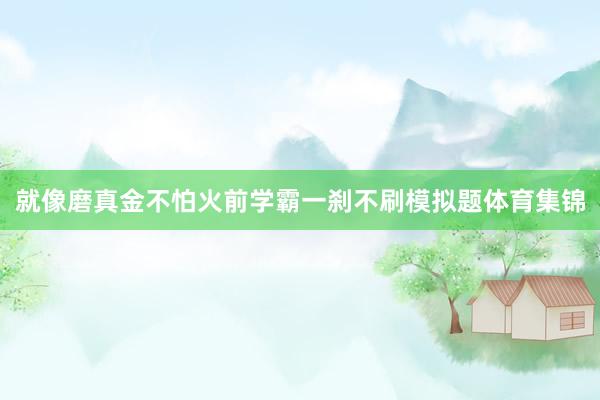 就像磨真金不怕火前学霸一刹不刷模拟题体育集锦