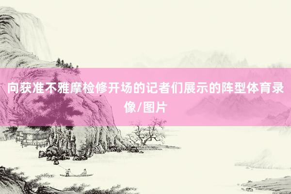 向获准不雅摩检修开场的记者们展示的阵型体育录像/图片