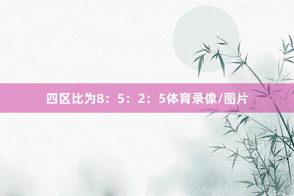 四区比为8：5：2：5体育录像/图片