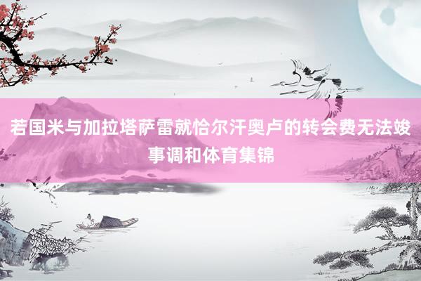 若国米与加拉塔萨雷就恰尔汗奥卢的转会费无法竣事调和体育集锦