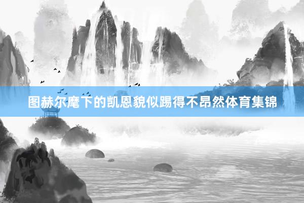 图赫尔麾下的凯恩貌似踢得不昂然体育集锦