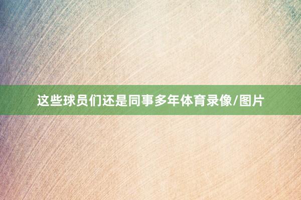 这些球员们还是同事多年体育录像/图片