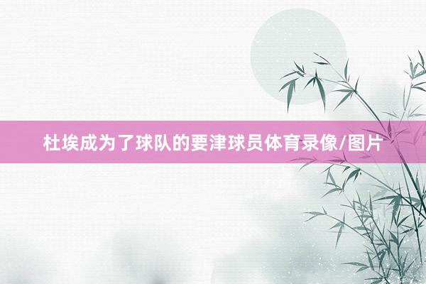 杜埃成为了球队的要津球员体育录像/图片