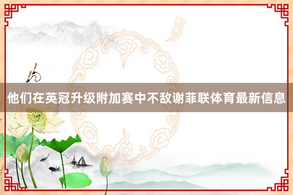 他们在英冠升级附加赛中不敌谢菲联体育最新信息