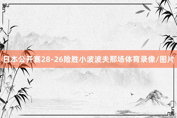 日本公开赛28-26险胜小波波夫那场体育录像/图片