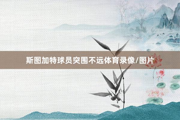 斯图加特球员突围不远体育录像/图片