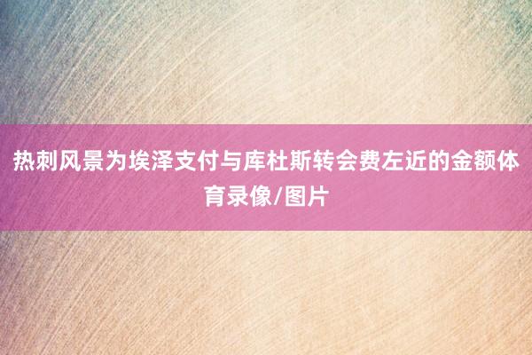 热刺风景为埃泽支付与库杜斯转会费左近的金额体育录像/图片