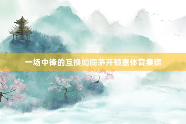 一场中锋的互换如同茅开顿塞体育集锦
