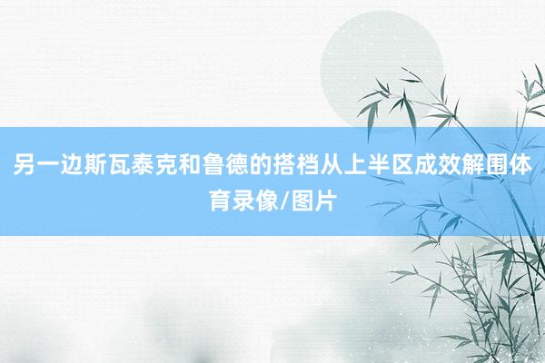 另一边斯瓦泰克和鲁德的搭档从上半区成效解围体育录像/图片