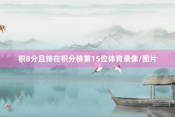 积8分且排在积分榜第15位体育录像/图片