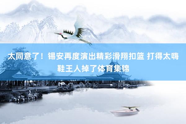 太同意了!锡安再度演出精彩滑翔扣篮 打得太嗨鞋王人掉了体育集锦