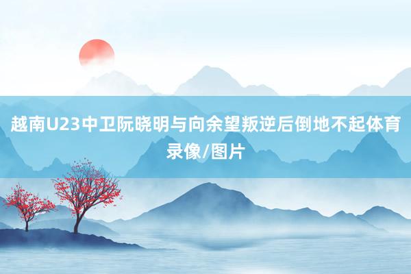 越南U23中卫阮晓明与向余望叛逆后倒地不起体育录像/图片