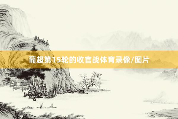 葡超第15轮的收官战体育录像/图片