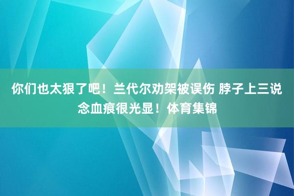 你们也太狠了吧!兰代尔劝架被误伤 脖子上三说念血痕很光显!体育集锦