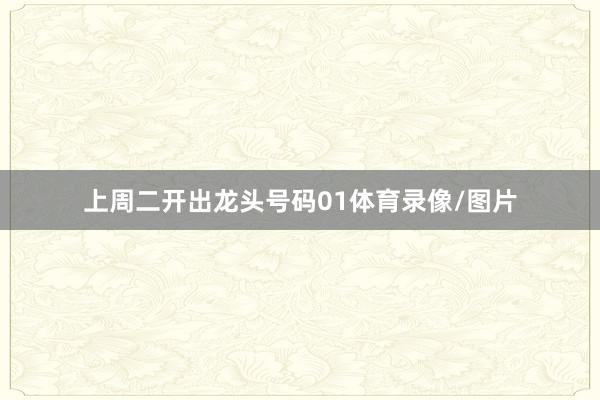 上周二开出龙头号码01体育录像/图片