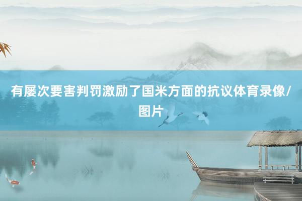 有屡次要害判罚激励了国米方面的抗议体育录像/图片