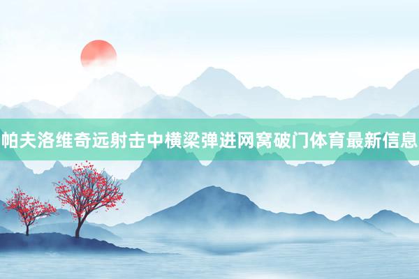 帕夫洛维奇远射击中横梁弹进网窝破门体育最新信息
