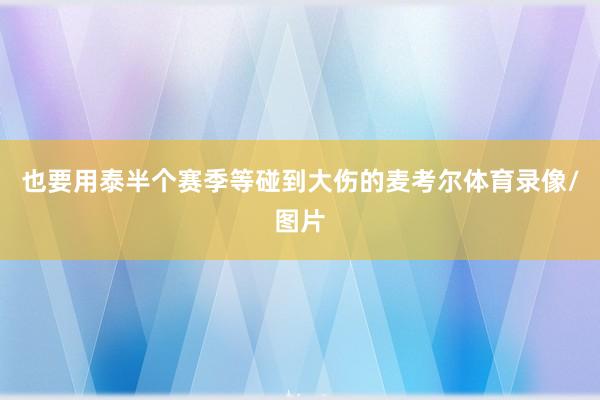 也要用泰半个赛季等碰到大伤的麦考尔体育录像/图片