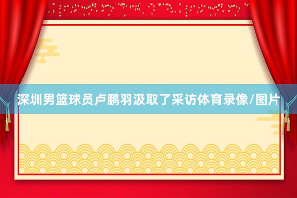 深圳男篮球员卢鹏羽汲取了采访体育录像/图片
