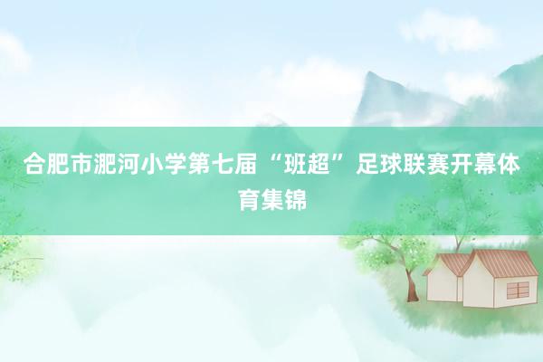 合肥市淝河小学第七届 “班超” 足球联赛开幕体育集锦