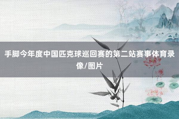 手脚今年度中国匹克球巡回赛的第二站赛事体育录像/图片