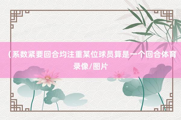 (系数紧要回合均注重某位球员算是一个回合体育录像/图片