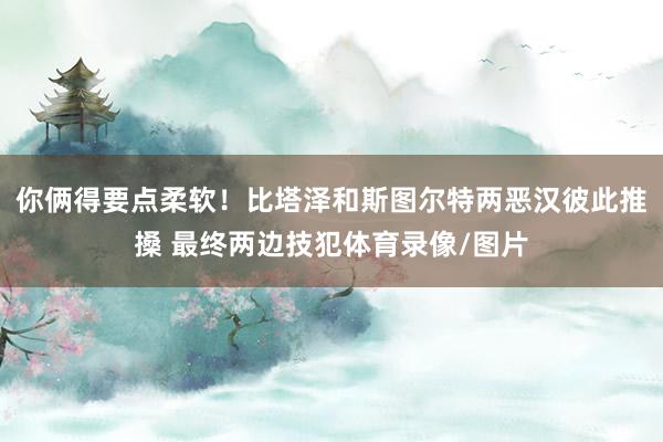你俩得要点柔软!比塔泽和斯图尔特两恶汉彼此推搡 最终两边技犯体育录像/图片