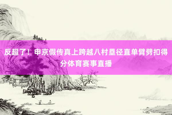 反超了!申京假传真上跨越八村塁径直单臂劈扣得分体育赛事直播