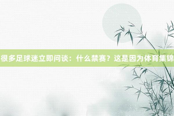 很多足球迷立即问谈：什么禁赛？这是因为体育集锦