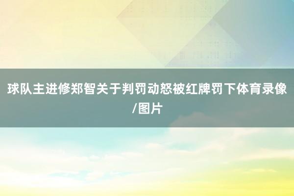 球队主进修郑智关于判罚动怒被红牌罚下体育录像/图片