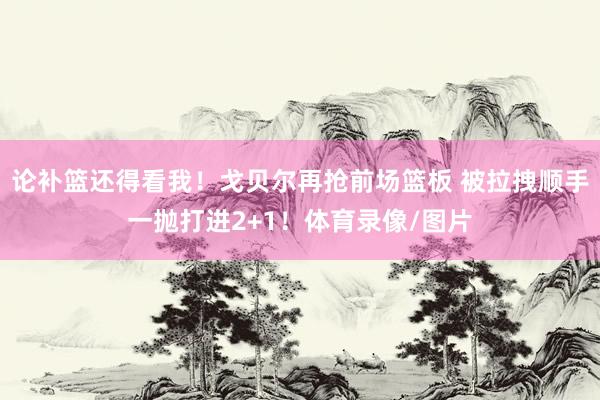 论补篮还得看我!戈贝尔再抢前场篮板 被拉拽顺手一抛打进2+1!体育录像/图片