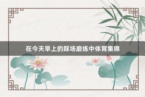 在今天早上的踩场磨练中体育集锦