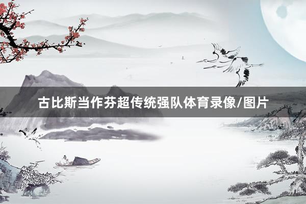 古比斯当作芬超传统强队体育录像/图片