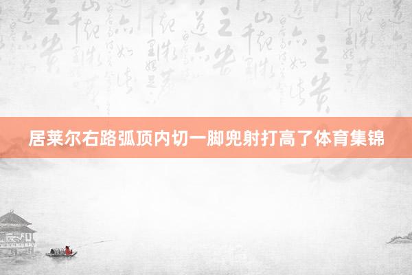 居莱尔右路弧顶内切一脚兜射打高了体育集锦