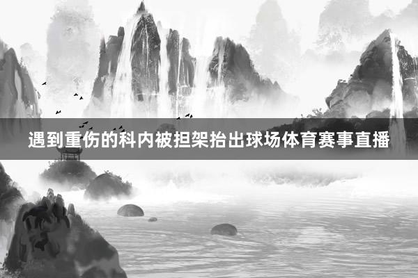 遇到重伤的科内被担架抬出球场体育赛事直播